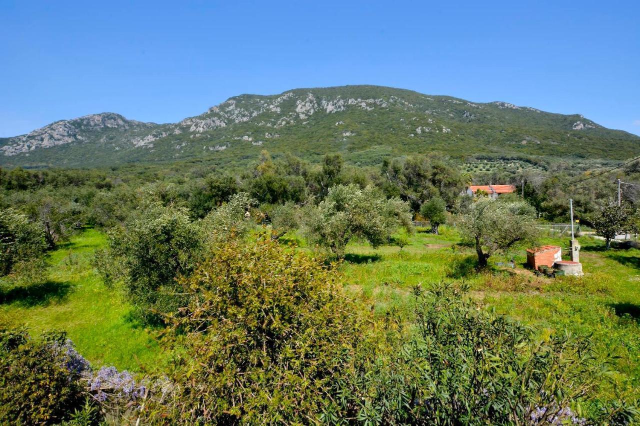 Giokos Apartment Agios Matthaios  ภายนอก รูปภาพ