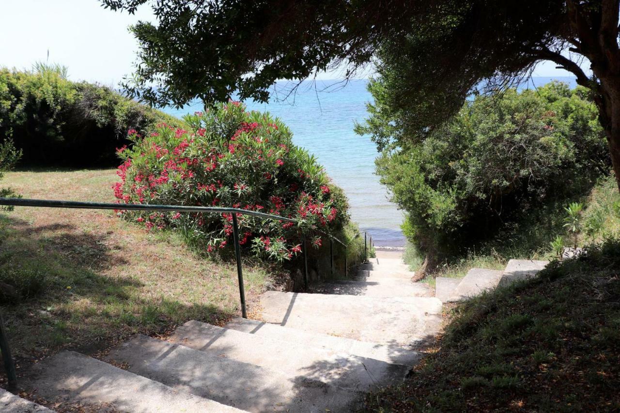 Giokos Apartment Agios Matthaios  ภายนอก รูปภาพ